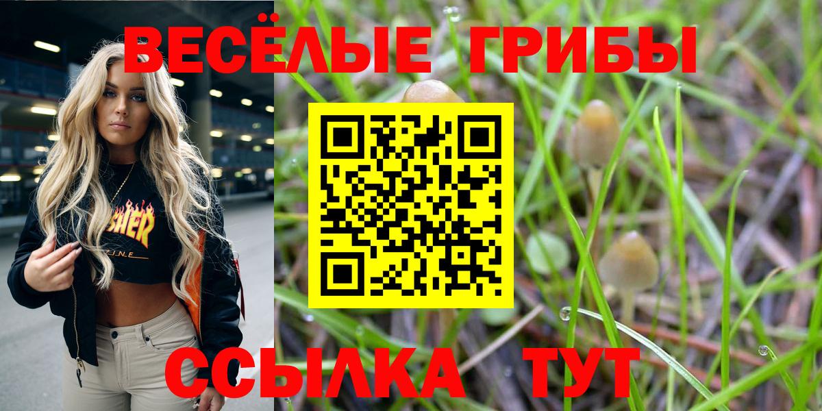 Галлюциногенные грибы мицелий  Вход с VPN  Кизилюрт 